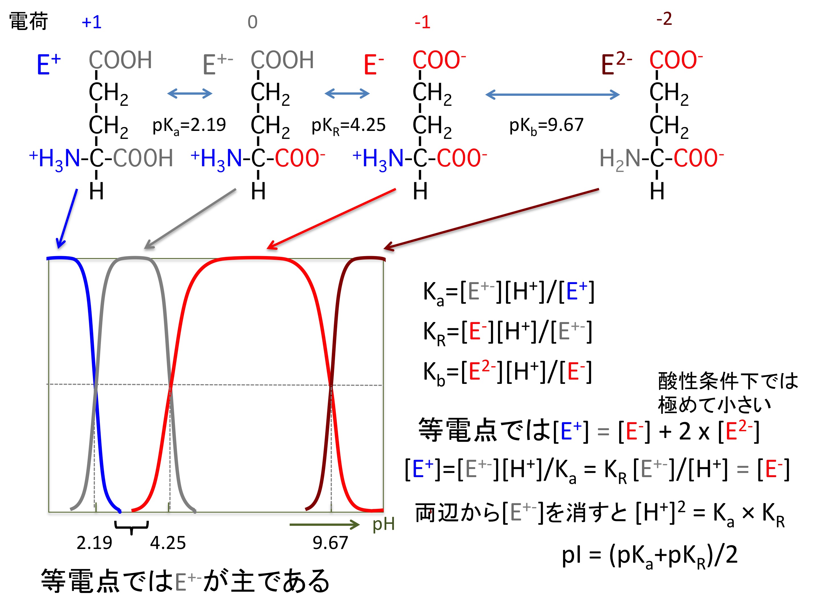 biochem