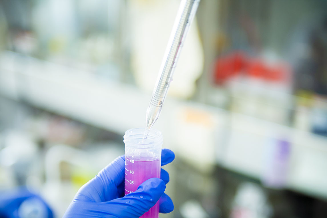 薬化学教室から生物制御科学研究室に名称が変更になりました。